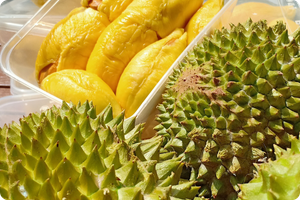 Authentic Musang King Durian Identification Guide