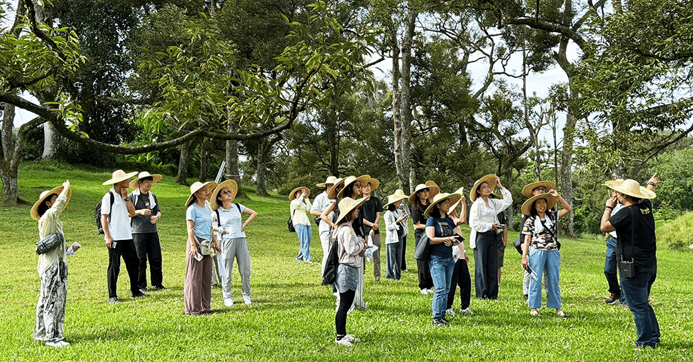A group people standing in a durian farm