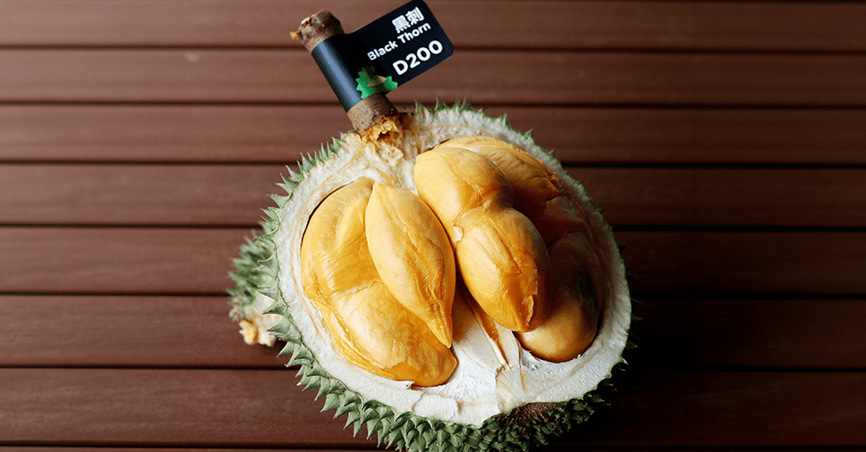 Opened Black thorn durian fruit with yellow flesh