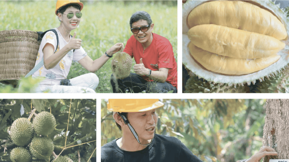 Half Day Durian Farm Tour KL